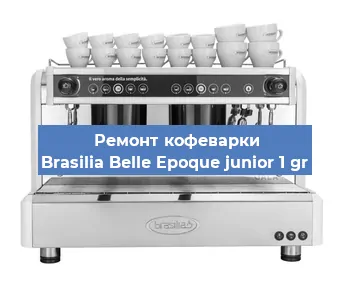 Замена ТЭНа на кофемашине Brasilia Belle Epoque junior 1 gr в Краснодаре
